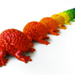 BRAIN HUE Collection by Emilio Garcia