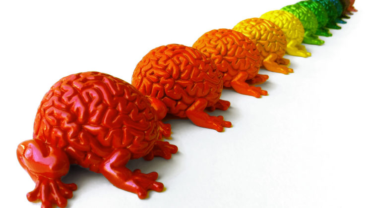 Chinwag Psych: First Speakers Announced