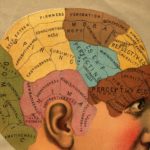 Brain Map by Ky Olsen