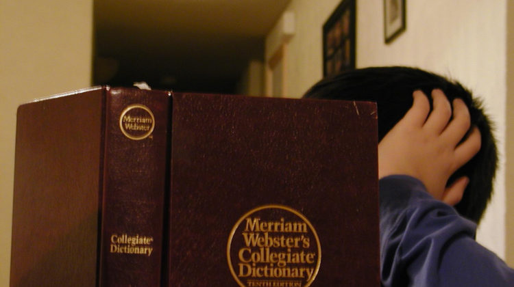 Neuro, Psych and Machine Learning – a Quick and Dirty Primer