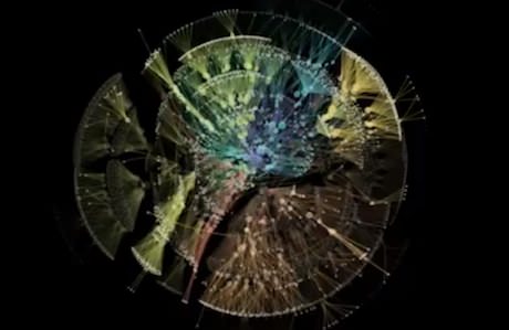 Organic Organization Chart: Autodesk’s New View of Organisational Structure