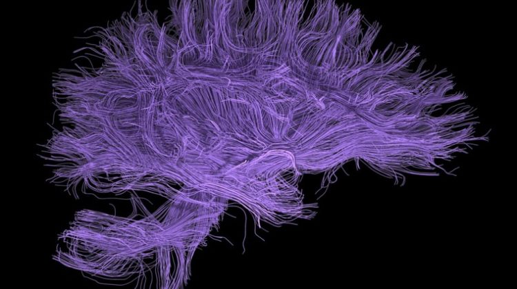 Dates For Your Diary – A Line Up Of Upcoming Psych Events